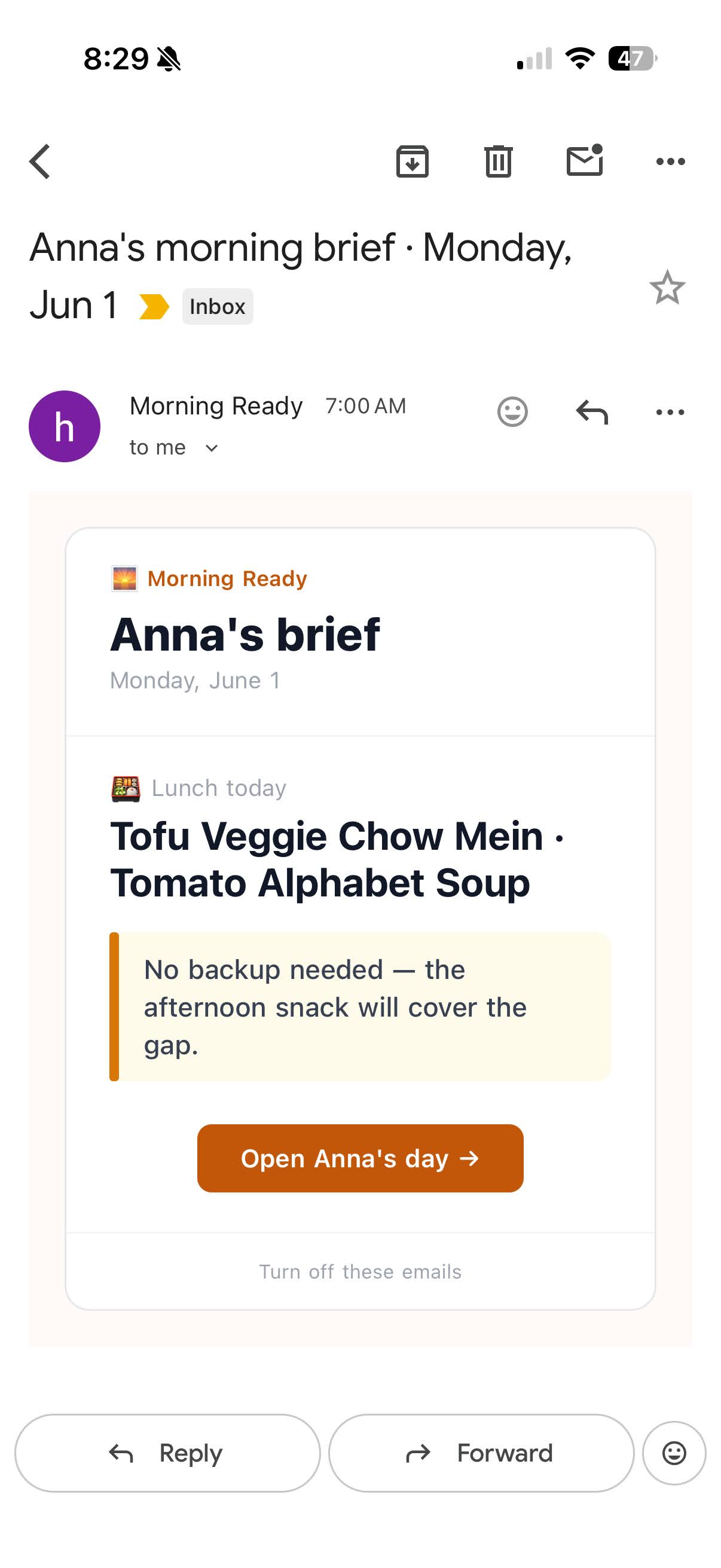 Morning Ready daily email brief showing Anna's lunch risk and action